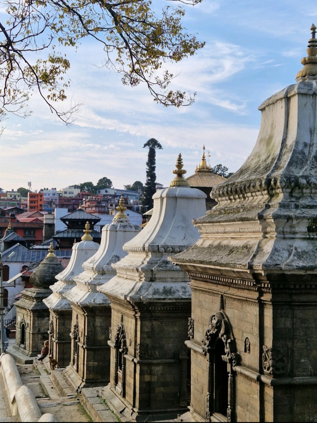 Visiting Pashupatinath Temple